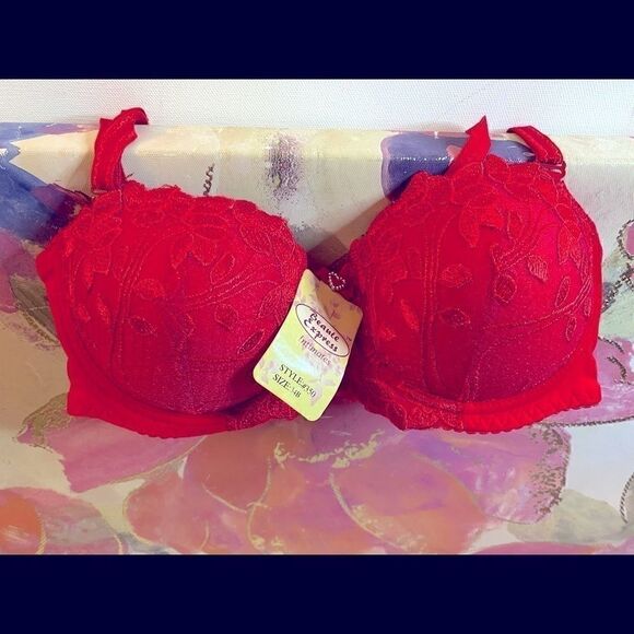 Beaute express Other - 🌹Beaute express intimates sexy push up lace Bras